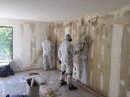 Best Environmental Consulting for Mold Prevention  in Portales, NM